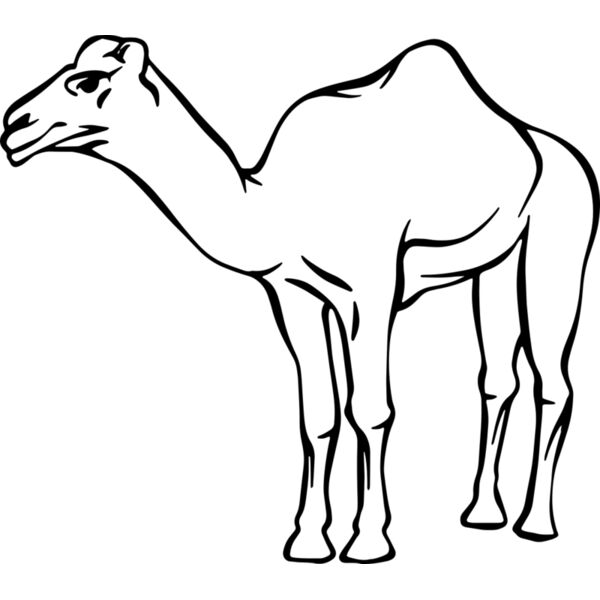 Camel   Clipart 2 Vignette