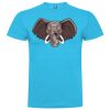 T-shirt Enfant, Awu Adodoé Braco de marque Roly Vignette