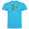 T-shirt Enfant, Awu Adodoé Braco de marque Roly Vignette