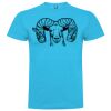 T-shirt Enfant, Awu Adodoé Braco de marque Roly Vignette
