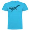 T-shirt Enfant, Awu Adodoé Braco de marque Roly Vignette