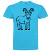 T-shirt Enfant, Awu Adodoé Braco de marque Roly Vignette